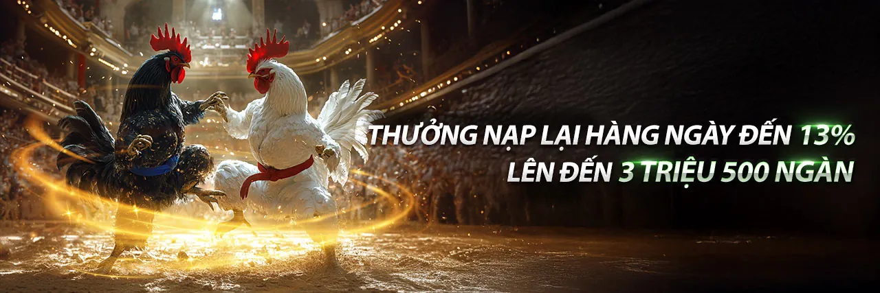 Ứng dụng TOP88 trên điện thoại di động